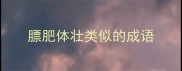 膘肥体壮类似的成语