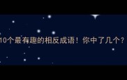 10个最有趣的相反成语你中了几个