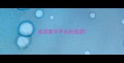 成语兼字开头的成语