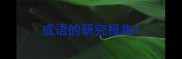 成语的研究报告