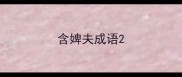 含婢夫成语