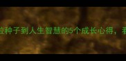 粒粒皆辛苦从一粒种子到人生智慧的5个成长心得看完颠覆你的认知