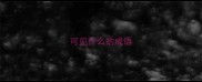 可见什么的成语