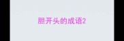 胆开头的成语