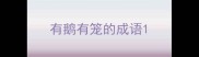 有鹅有笼的成语