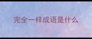 完全一样成语是什么