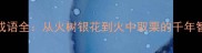 火字旁成语全从火树银花到火中取栗的千年智慧传承