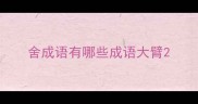 舍成语有哪些成语大臂