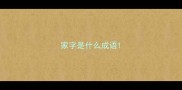 家字是什么成语