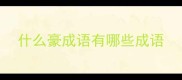 什么豪成语有哪些成语
