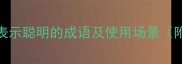 10个最常用的表示聪明的成语及使用场景附赠记忆口诀