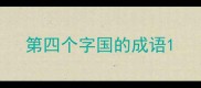 第四个字国的成语