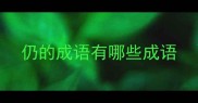 仍的成语有哪些成语