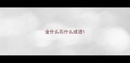 金什么石什么成语