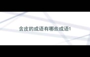 含皮的成语有哪些成语