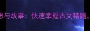 100个常见成语的意思与故事快速掌握古文精髓轻松提升语文素养