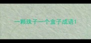 一颗珠子一个盒子成语
