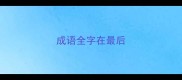 成语全字在最后
