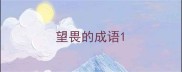 望畏的成语