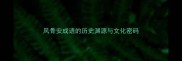 风骨安成语的历史渊源与文化密码