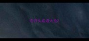 态开头成语大全