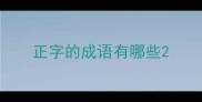 正字的成语有哪些