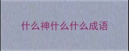 什么神什么什么成语