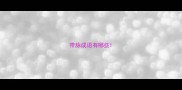 带脉成语有哪些