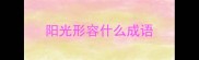 阳光形容什么成语
