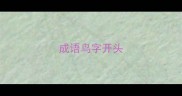 成语鸟字开头