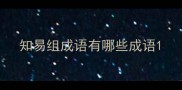 知易组成语有哪些成语