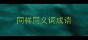 同样同义词成语