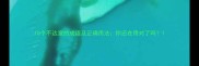 10个不达意的成语及正确用法你还在用对了吗