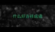 什么好吉祥成语