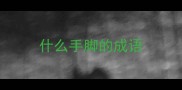什么手脚的成语