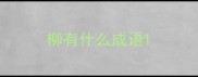 柳有什么成语