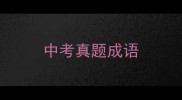 中考真题成语