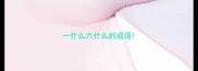 一什么六什么的成语