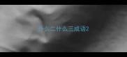什么二什么三成语