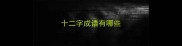 十二字成语有哪些