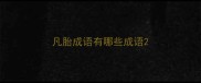 凡胎成语有哪些成语