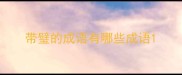 带璧的成语有哪些成语