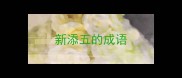 新添五的成语