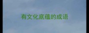 有文化底蕴的成语