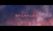 相什么并什么成语