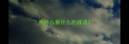 善什么善什么的成语