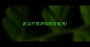 说鱼的成语有哪些成语
