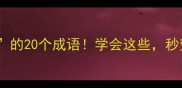 第三个字是道的20个成语学会这些秒变朋友圈文化人