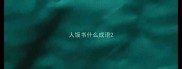 人饭书什么成语