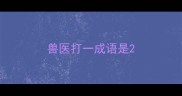 兽医打一成语是